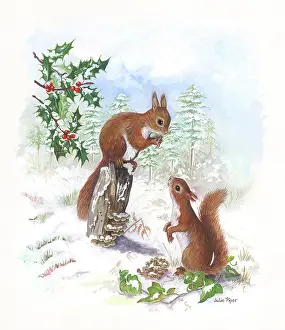 Two red squirrels in the snow