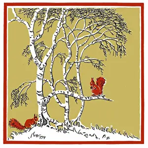 Three Colour: Two red squirrels on a tree