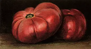 Tomatoes: Two Red Tomatoes