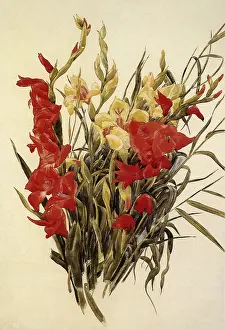 Demuth: Red and Yellow Gladioli
