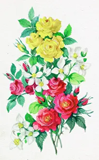 Syringa: Red and Yellow Roses and Syringa