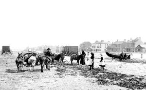Redcar: Redcar, the Sands 1886