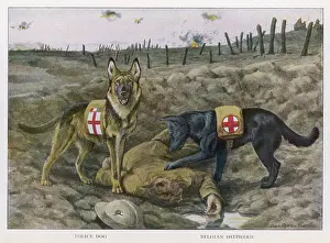 Redcross: Redcross War Dogs Rescue