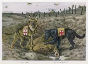 Redcross: Redcross War Dogs Rescue