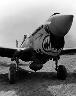 Alaskan: One of the redoutable Flying Tigers ready ?