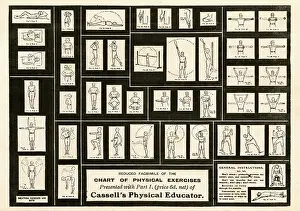 Fitness: Reduced facsimile of a Chart of Physical Exercises