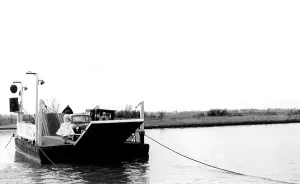 Reedham: Reedham, the Ferry in action c1955