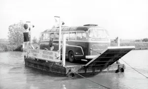 Reedham: Reedham, the Ferry c1955