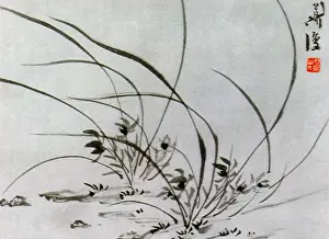 Grasses: Reeds and Flowers