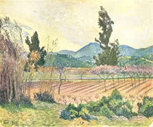 Clump: Reeds And Peach Trees, Lavendon
