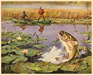Reel: Reeling in The Catch