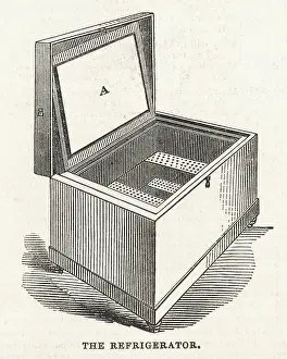 Refrigerator: REFRIGERATOR/1845