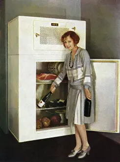 Ilona: Refrigerator