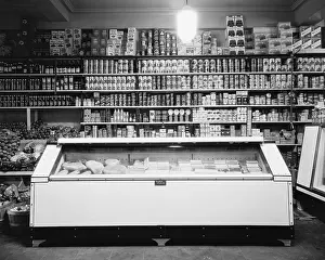 Perishable: Refrigerator for perishable meat and vegetables ?
