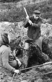 Firewood: Refugee couple digging a stub