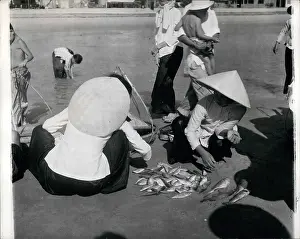 Dole: Refugees