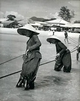 Dole: Refugees