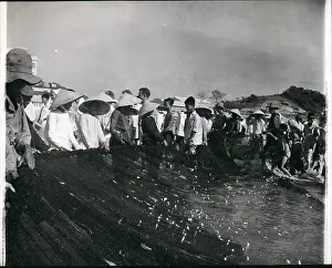 Dole: Refugees