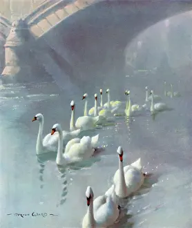 Downstream: Regal Procession by Vernon Ward