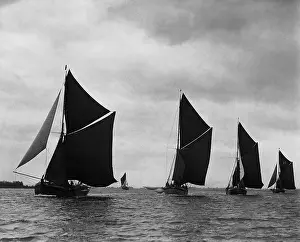 Regatta: Regatta on the Thames, 1936
