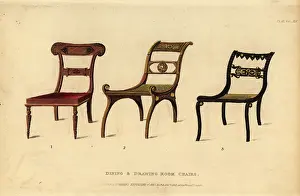 Ebony: Regency-era dining and drawing-room chairs, 1815