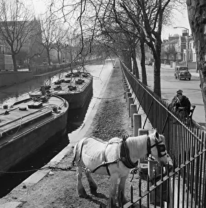 Maida: Regents Canal, London