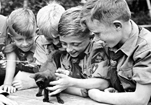 Organisationen: Third Reich - German Youth 1937