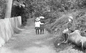 Unfriendly: Reigate, Girls 1907