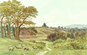 Reigate: Reigate Heath, Surrey Hills
