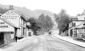 Reigate: Reigate, Hill, the Yew Tree Inn 1911