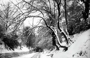 Reigate: Reigate, Tunnel Road 1890