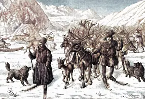 Herdsmen: REINDEER 1878