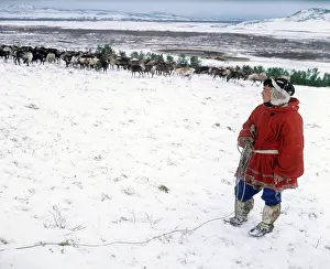 Breeder: Reindeer breeder, 1980
