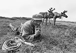 Breeder: Reindeer breeder, 1993