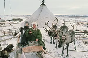 Gubsky: Reindeer breeding, 1978