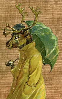 Brolly: Reindeer with brolly by g h Thompson