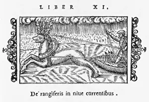 Sledges: Reindeer Pull Snowboat