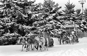 Achievements: Reindeer riding, 1982