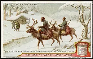 Postmen: REINDEER USED FOR MAIL