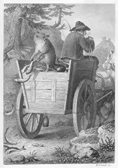 Reinecke: REINECKE FUCHS/GOETHE