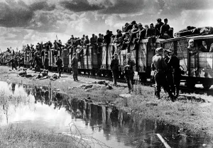 Chance: Reinforcement for the Eastern Front, 1944