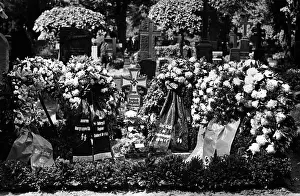 Reichsfuhrer: Reinhard Heydrich