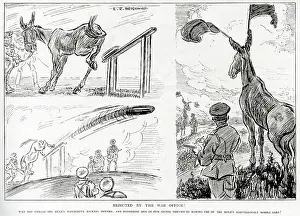 Signallers: Rejected by the War Office, Mules put to good use by L. R. B