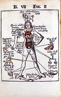 Sole: Relationship of organs of the body, the Humours