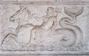 Seahorse: Relief, Archaeological Museum, Split, Croatia