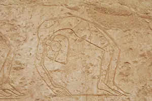 Twisted: Relief depicting a contortionists dancer. Temple of Hatsheps