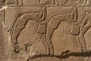 Twisted: Relief depicting a group of dancers