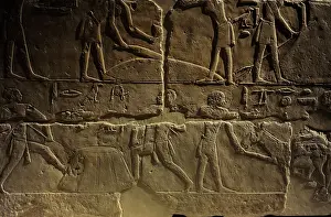 Phases: Relief depicting a phases of harvesting. Egypt