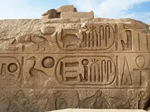 Meryamun: Relief, first courtyard, Ramesseum, Theban Necropolis