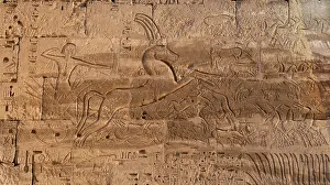 Meryamun: Relief, First Pylon, Temple of Ramesses III, Medinet Habu